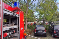 E1-6